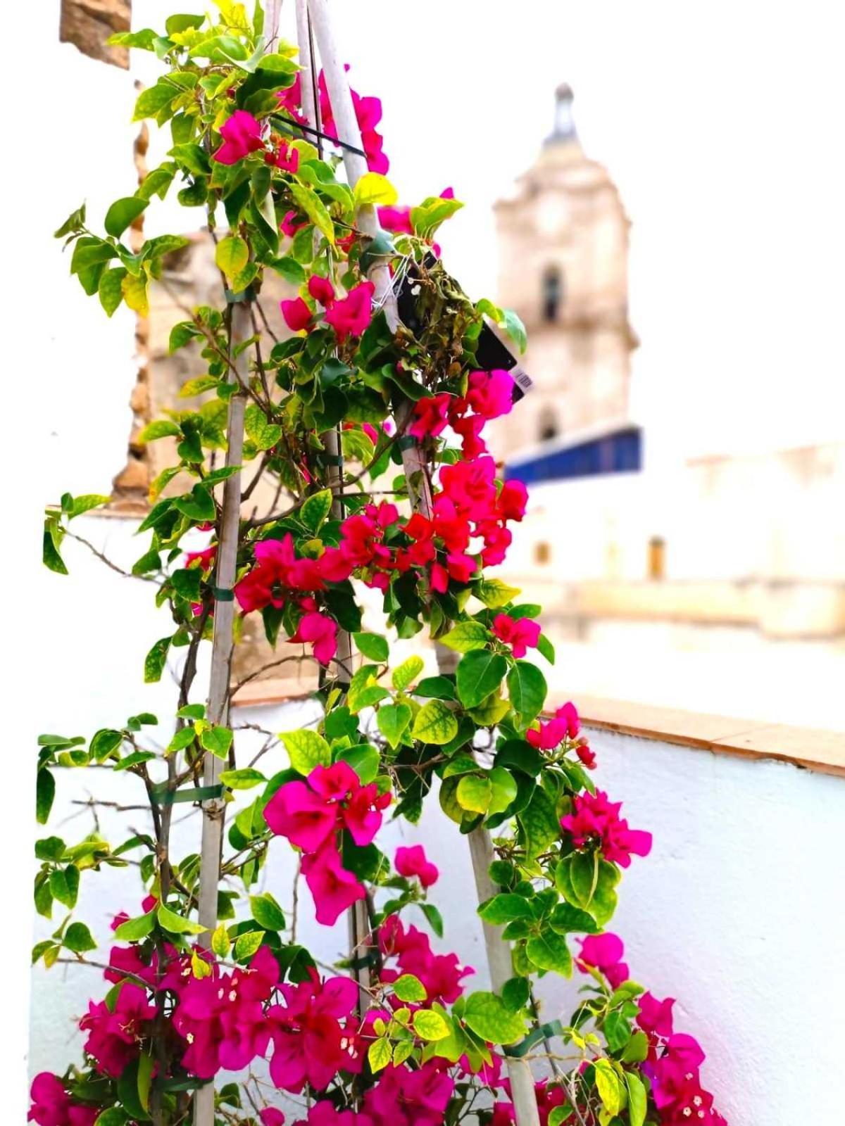 Apartamentos Larios Málaga Eksteriør bilde
